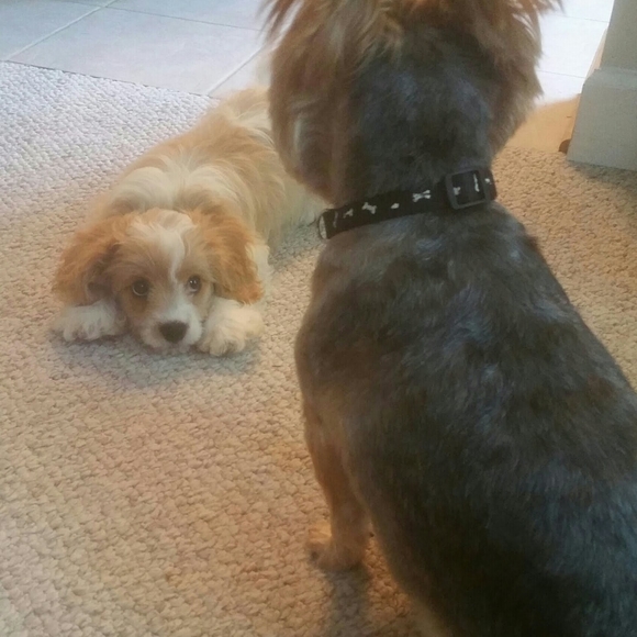 Family means everything to me - Picture 3 of 3